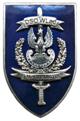 Dyżurna Służba Operacyjna Wojsk Lądowych RP (Warszawa)